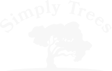 Simply Trees logo